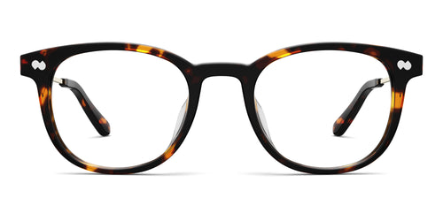 Tortoise Acetate Gold Metal