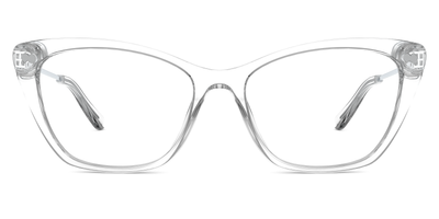 Crystal Clear Acetate Silver Metal